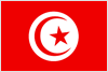 TUN Flag