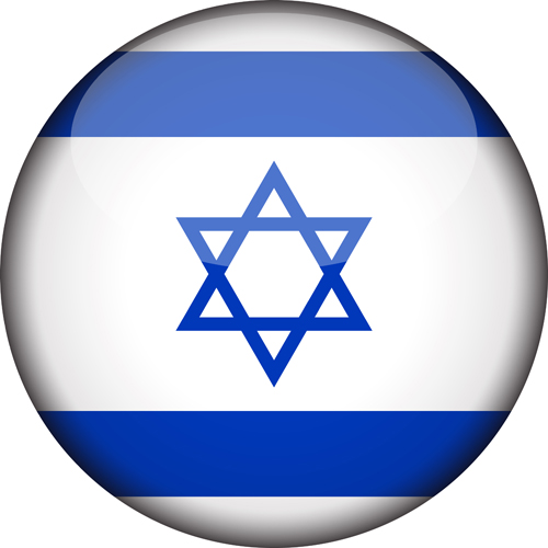 ISR Flag