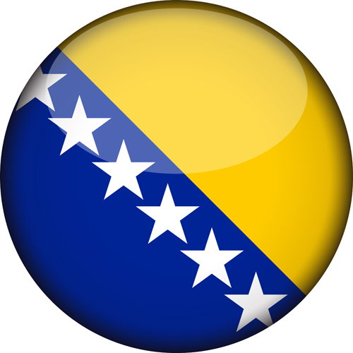 BIH Flag